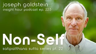 Understanding Formation & Consciousness with Joseph Goldstein – Insight Hour Ep. 225 (SSS Pt. 22)