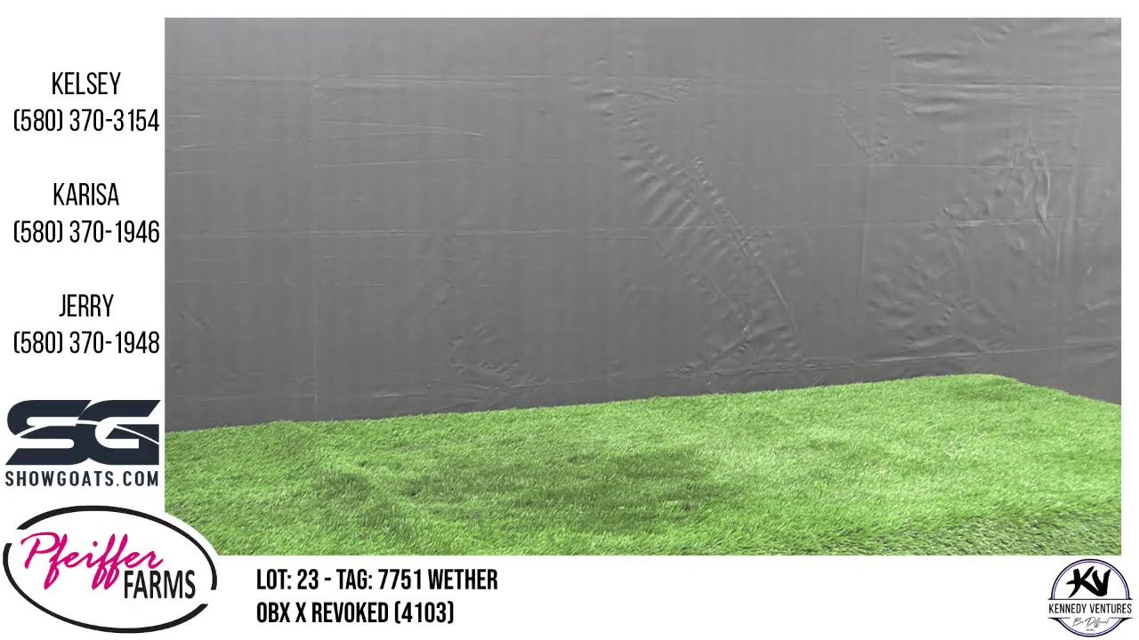 Pfeiffer Farms - Wether Sale Preview - Feb-23