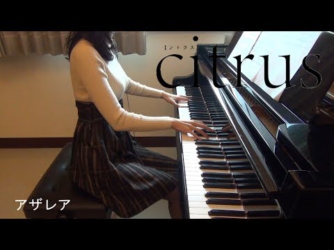 シトラス OP アザレア Citrus Azalea 柑橘味香氣 [piano]