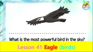 80 Animals | Unit 41 Eagle | Birds screenshot 4