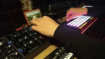 Making a little Trance jam with the behringer Model D.
