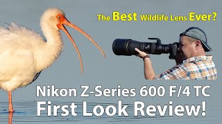 NEW Nikon 600mm TC Z-Series First Look Field Review!