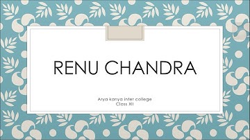 English Lecture Class XII A fellow traveller Explanation (Part 6)