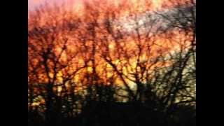 "Fiery Sunset" ( w/ Geese flying into the Sunset)