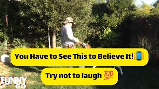 #Epicfail ππ #funnyvideos πππ #Comedyππππ. You Have to See This to Believe It!π³ Try not to laugh π― Guide