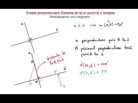 Video: Care este primul pas în construirea unei perpendiculare de la un punct la o dreaptă?