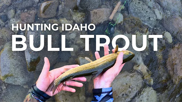 Hunting Bull Trout in Idaho's Remote Backcountry