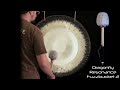 Tone of Life - 30" Divine Feminine Gong (#ROF145) | Gongs Unlimited