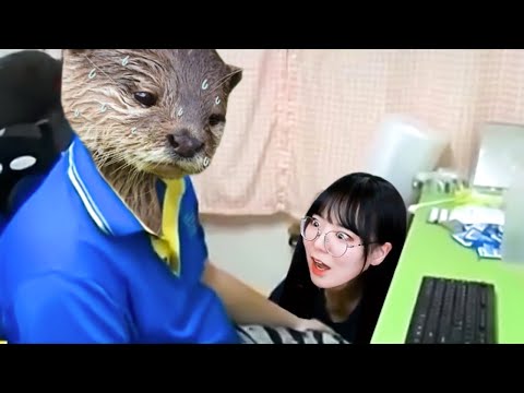 <strong>수달이의</strong> 충격적인 비밀..