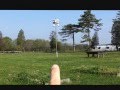Moving a Purple Martin House with martins present 0001 Moving a Purple Martin House with martins present 0001
