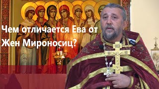 Пророк Даниил о двух путях жизни человека Священник Игорь Сильченков.