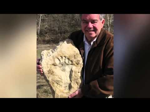 Footprints in stone - Overwhelming evidence of dinosaurs and man together