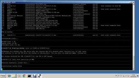 ©VMWare ©ESXi backup with ©XSIBackup