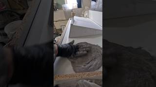 Столешница с интегрированной раковиной часть 3 #diy #бетон