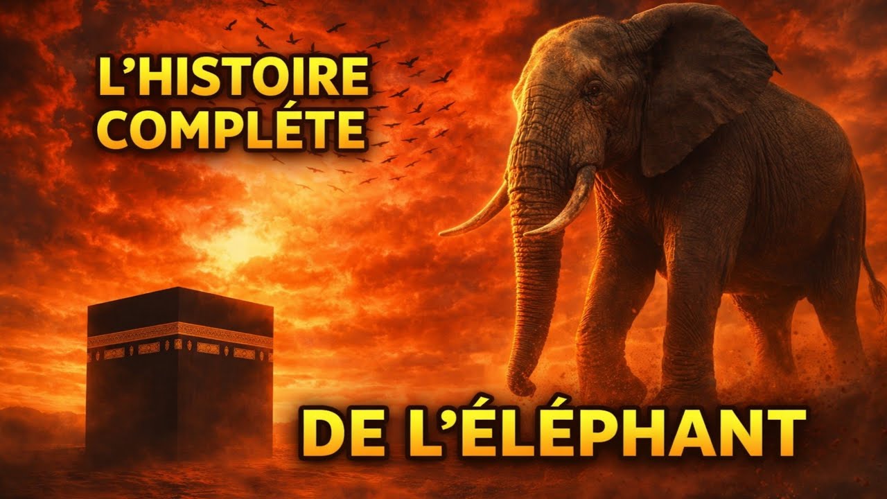 L'histoire complète de l'Éléphant | Comment Dieu a-t-il protégé la Kaaba d'Abraha et de son armée ?