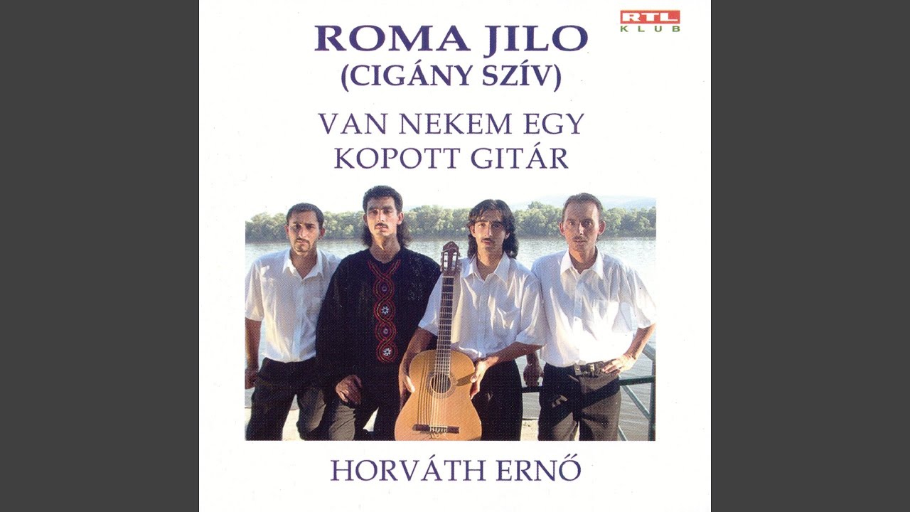 Van Nekem Egy Kopott Gitár