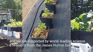 James Hutton Limited Short Soft Fruit Clip