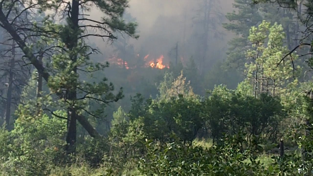 Fire in Timberon, New Mexico 71316 YouTube