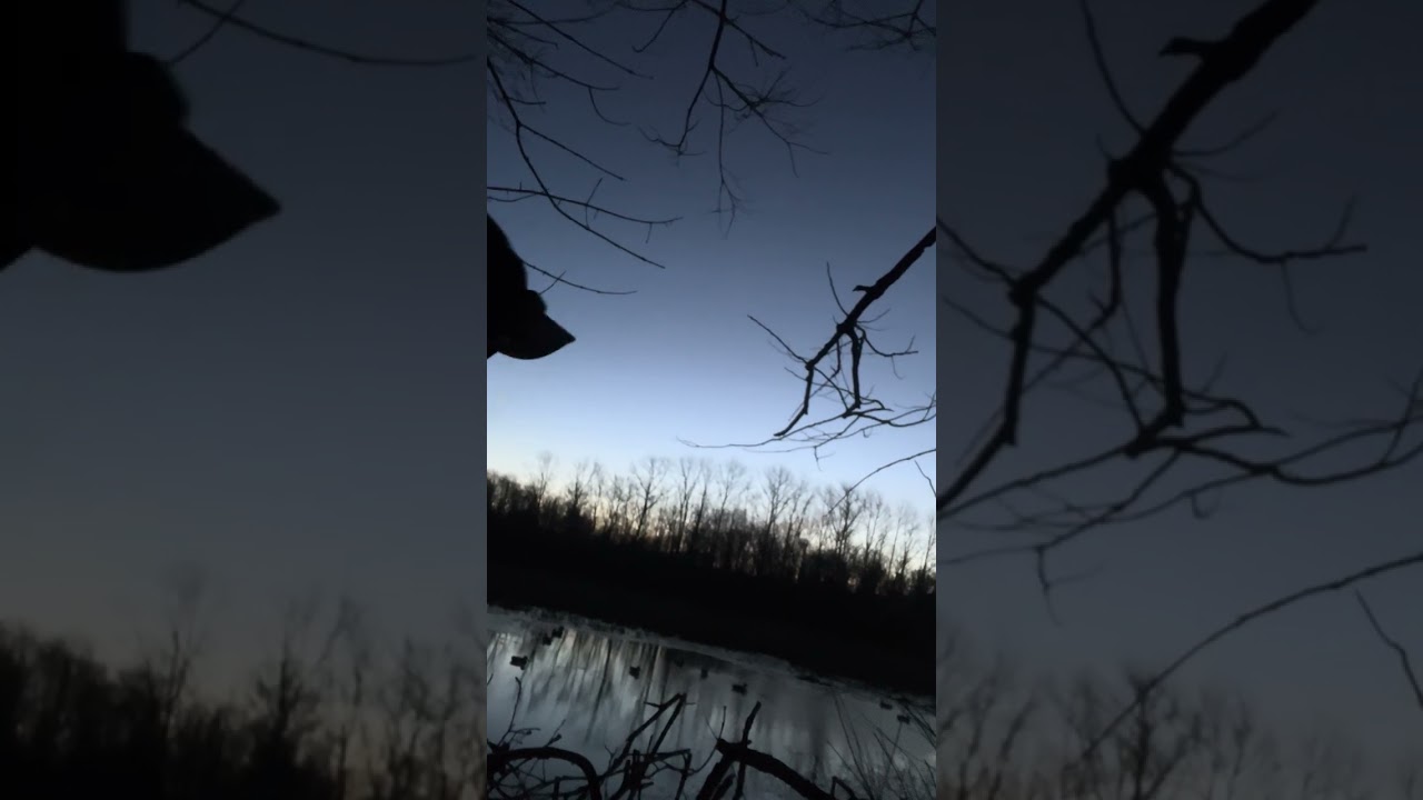 Duck hunting … 8 mins before shooting light 