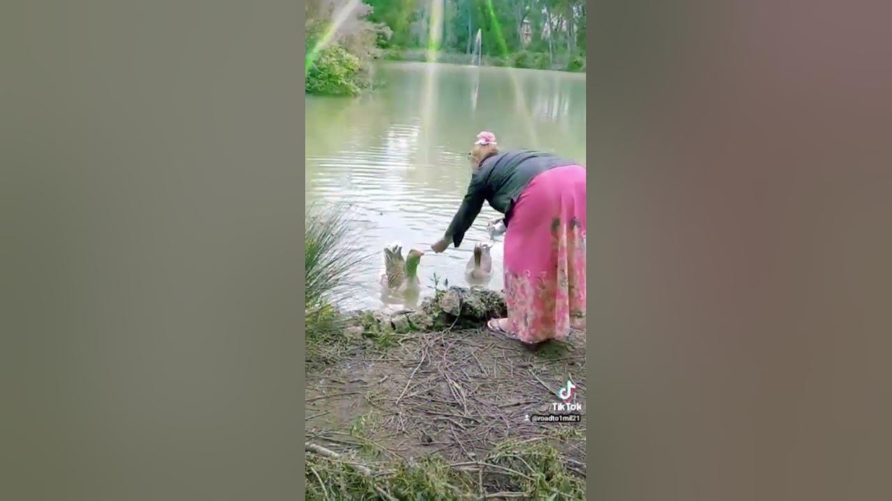 гусы - YouTube