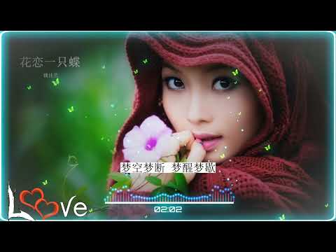 2023華語網絡流行音樂 ||《花戀一只蝶》|| 魏佳藝 || 動態歌詞