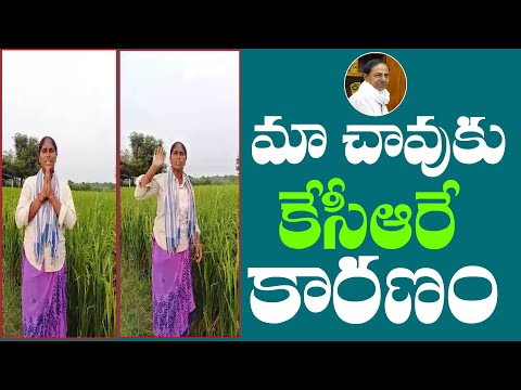 కడుపుకు గడ్డి తింటున్నవా..! |Women Farmer Fires On KCR Over LRS || TeenmarMallanna #QNews