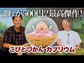 【こびとづかんカプリウム】大傑作カプセルトイが完成しました!