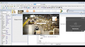 Curso de Delphi Sistemas - Aula 10 - Inserindo Imagens