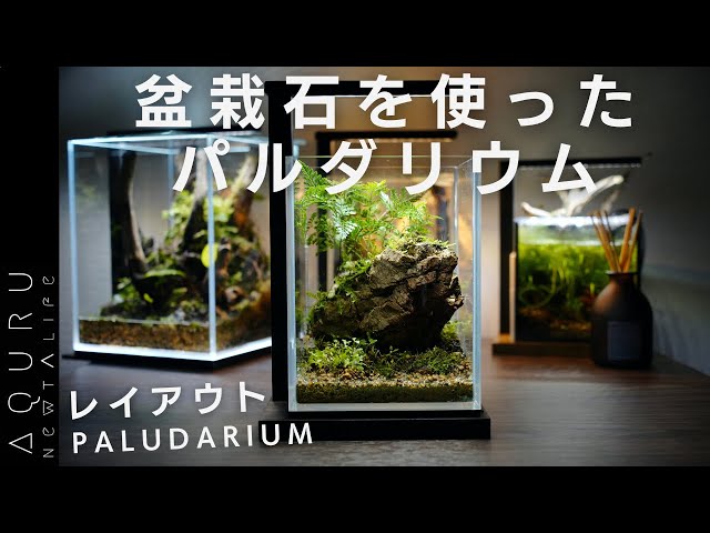 盆栽石を使ったパルダリウムのレイアウト│BONSAI PALUDARIUM SETUP