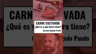 Carne de laboratorio