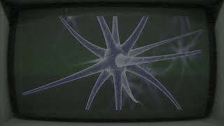4 Project Vortex - The Neuron