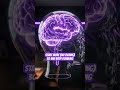 ADHD stuck? Run START Mode (No Ticking) for 30 minutes.Full session is on my channel ✅