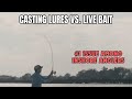 Casting Lures VS. Live Bait [The #1 Issue Among Inshore Anglers]