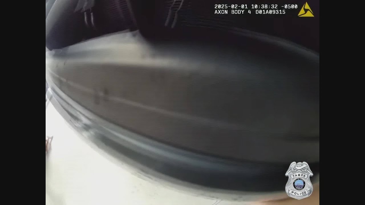 Officers save Tampa man trapped under car - YouTube