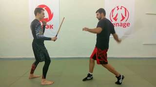 Simple stick fighting combinations