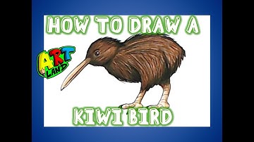 How to Draw a KIWI BIRD!!!