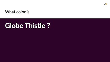 Globe Thistle color #2e0329 hex color - Violet color - Cool color 2e0329