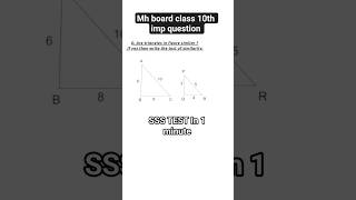 Are the Triangles Similar? | SSS Similarity Test | Class 10 Maths | MH Board#Class10Maths#Similarity