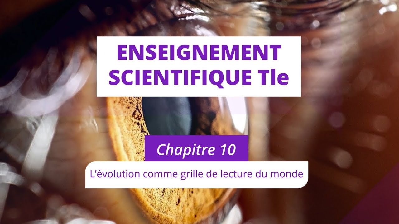 L’évolution, une grille de lecture du monde (Enseignement scientifique Tle)