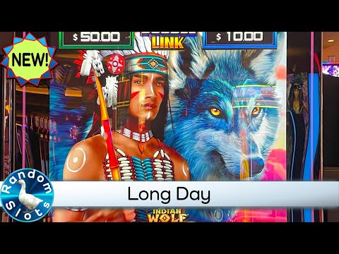 New⭐️Indian Wolf Double Link Slot Machine