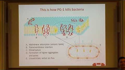 Prof. Yiannis Kaznessis | Multiscale Models for New Antibiotic Technologies