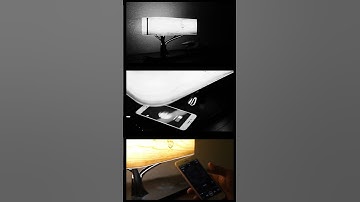 Lamp. Speaker. Charger. The tree that does it all—and looks stunning doing it