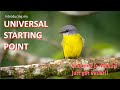 Photography School #10: Introducing My "Universal Starting Point"