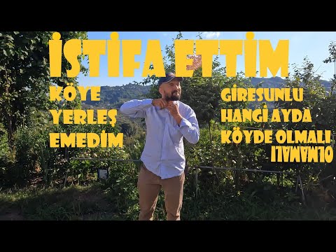 GİRESUN İÇİN FINDIK VAKTİ | İstifa | #fındık #giresun #gopro