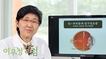 안압은 정상인 녹내장의 치료 - 한의사 이우정