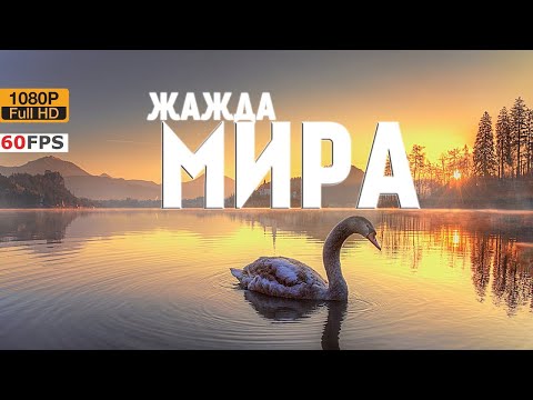 Жажда Мира 2-Ой Запрещённый Фильм Яна Артюса-Бертрана Документальный