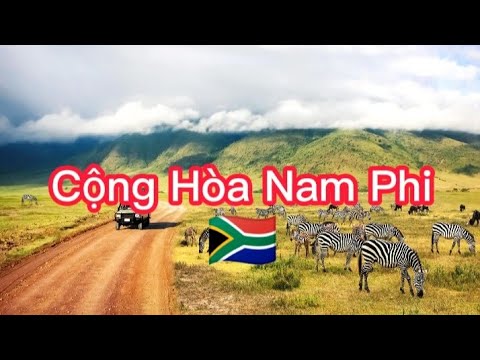 Video: Những Điều Hàng Đầu Nên Làm Ở Port Elizabeth, Nam Phi