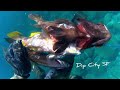 Galas Dipolog City, Spearfishing