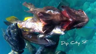 Galas Dipolog City, Spearfishing