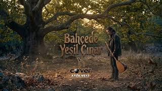 Bahçede Yeşil Çınar Anadolu Rock Cover